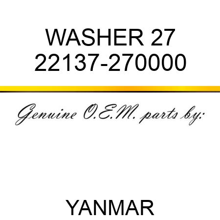 WASHER, 27 22137-270000
