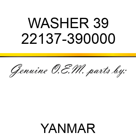 WASHER, 39 22137-390000