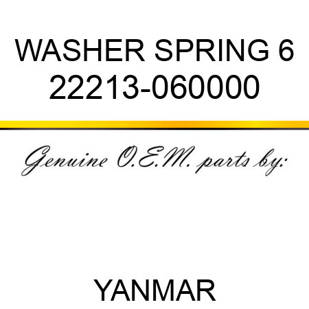 WASHER, SPRING 6 22213-060000