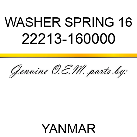 WASHER, SPRING 16 22213-160000