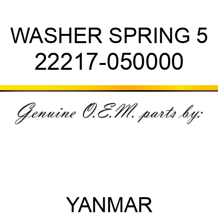 WASHER, SPRING 5 22217-050000