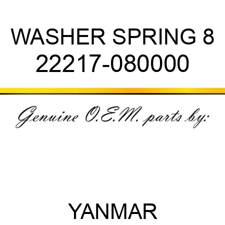 WASHER, SPRING 8 22217-080000
