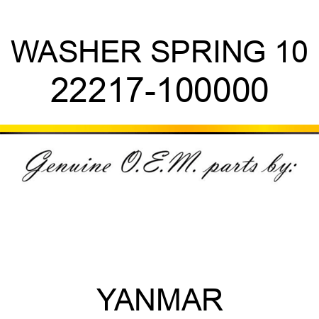 WASHER, SPRING 10 22217-100000