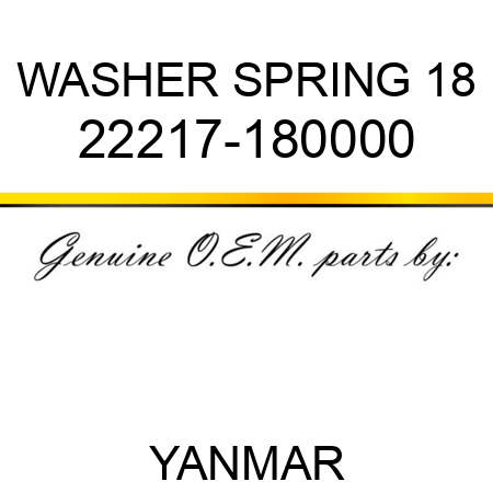 WASHER, SPRING 18 22217-180000
