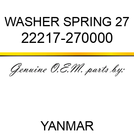 WASHER, SPRING 27 22217-270000