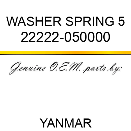 WASHER, SPRING 5 22222-050000
