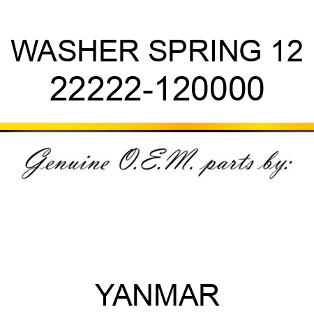 WASHER, SPRING 12 22222-120000