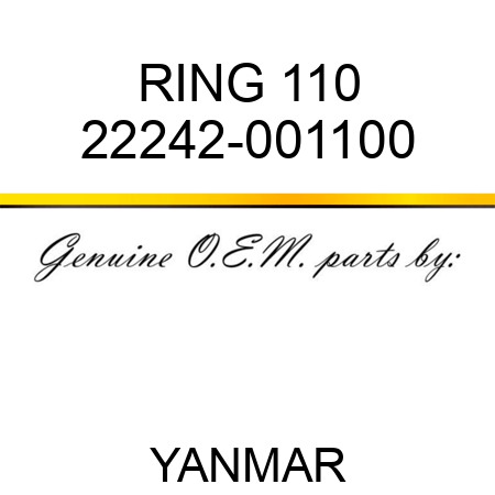 RING, 110 22242-001100