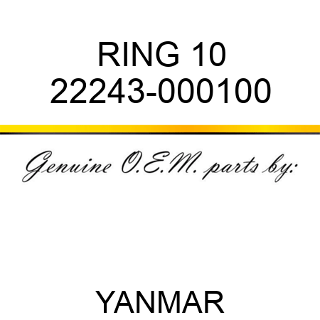 RING, 10 22243-000100