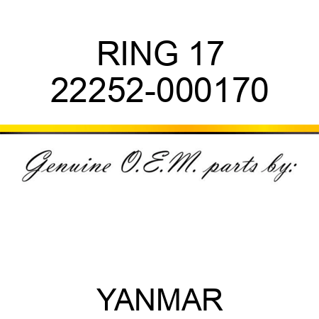 RING, 17 22252-000170