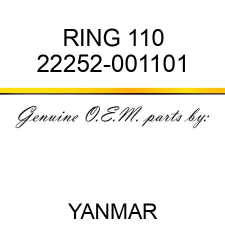 RING, 110 22252-001101