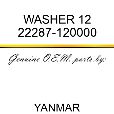 WASHER, 12 22287-120000