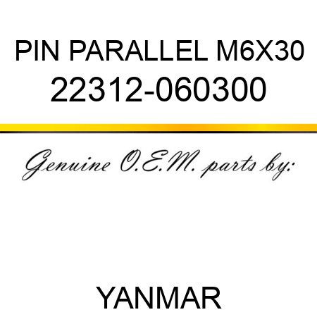PIN, PARALLEL M6X30 22312-060300