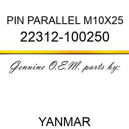 PIN, PARALLEL M10X25 22312-100250