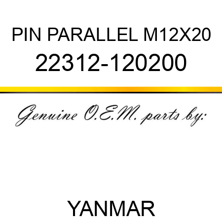 PIN, PARALLEL M12X20 22312-120200