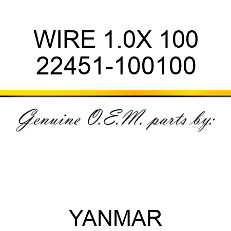 WIRE, 1.0X 100 22451-100100