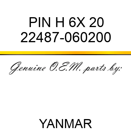 PIN, H 6X 20 22487-060200
