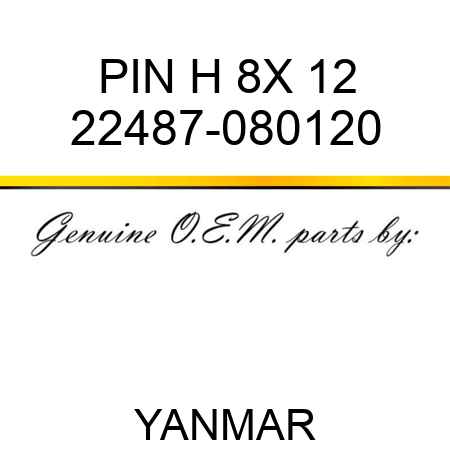 PIN, H 8X 12 22487-080120