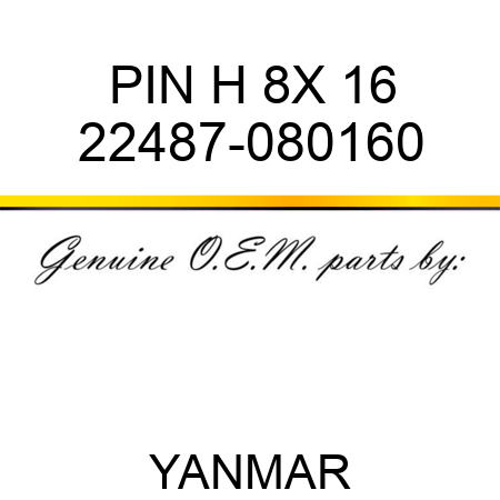 PIN, H 8X 16 22487-080160