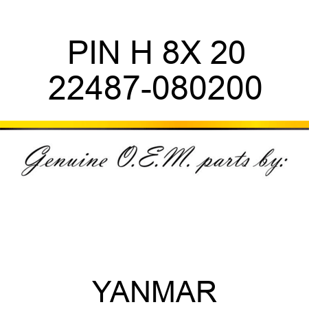 PIN, H 8X 20 22487-080200