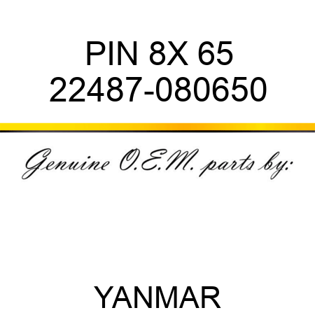 PIN 8X 65 22487-080650