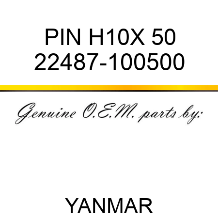PIN, H10X 50 22487-100500