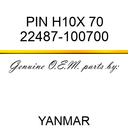 PIN, H10X 70 22487-100700
