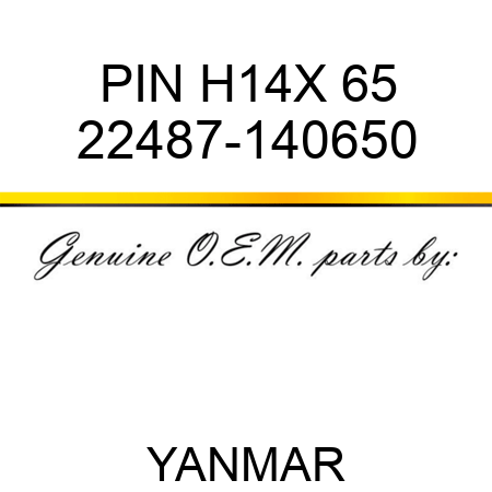 PIN, H14X 65 22487-140650