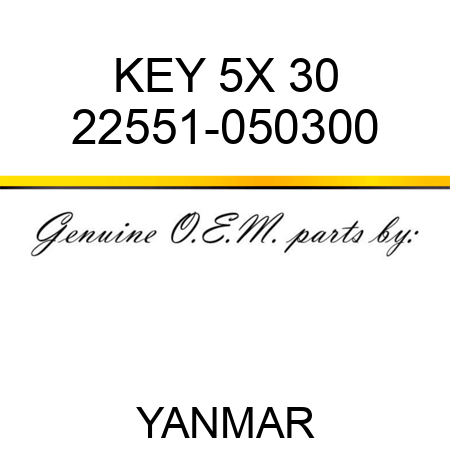 KEY, 5X 30 22551-050300