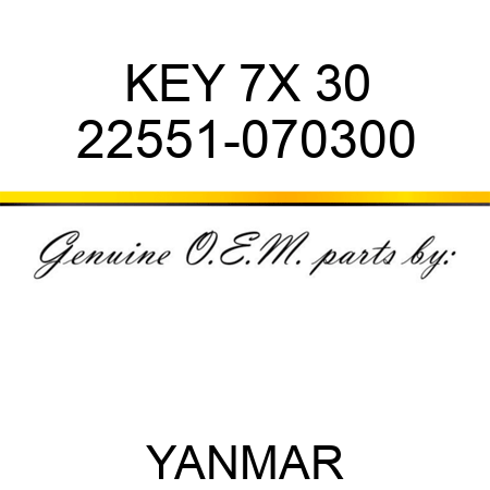 KEY, 7X 30 22551-070300