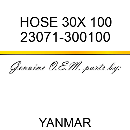 HOSE, 30X 100 23071-300100