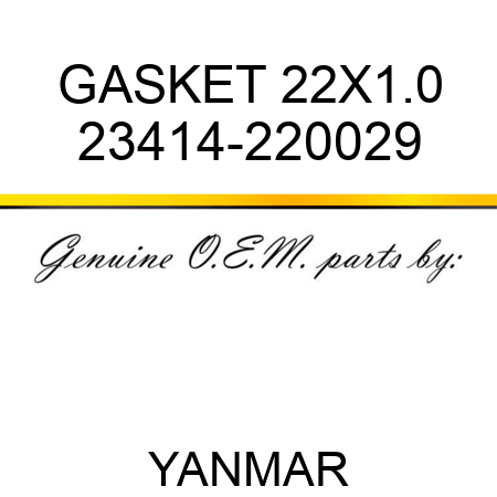 GASKET, 22X1.0 23414-220029