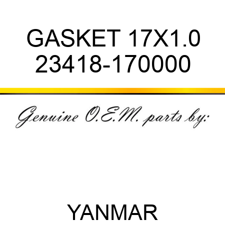 GASKET, 17X1.0 23418-170000
