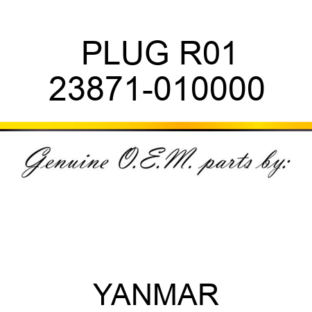 PLUG, R01 23871-010000