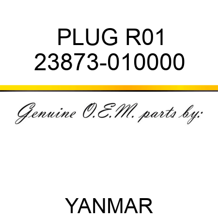 PLUG, R01 23873-010000