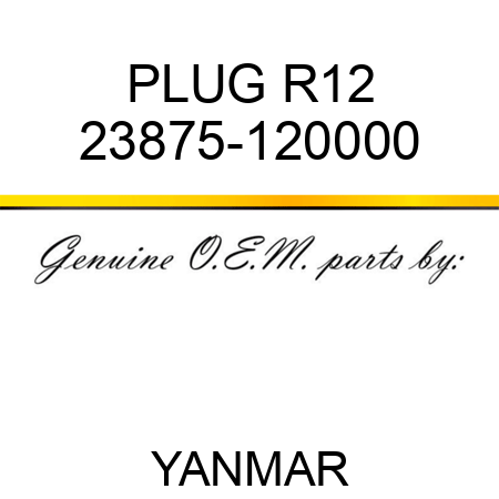 PLUG, R12 23875-120000
