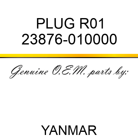 PLUG, R01 23876-010000