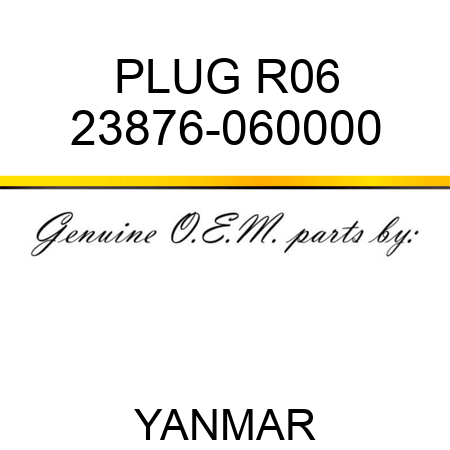 PLUG, R06 23876-060000