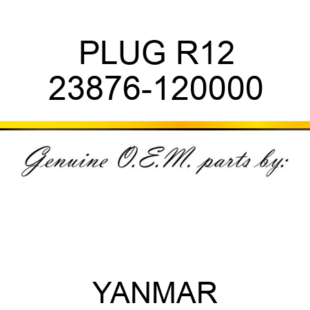 PLUG, R12 23876-120000