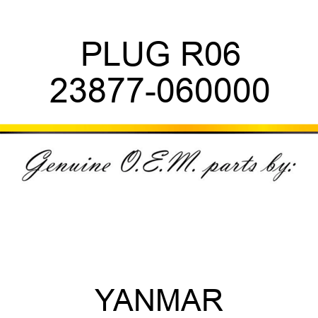 PLUG, R06 23877-060000