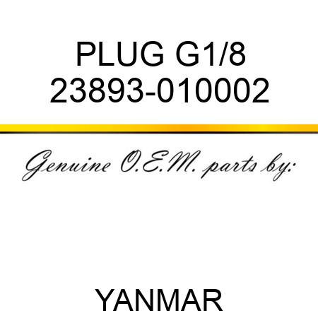 PLUG, G1/8 23893-010002