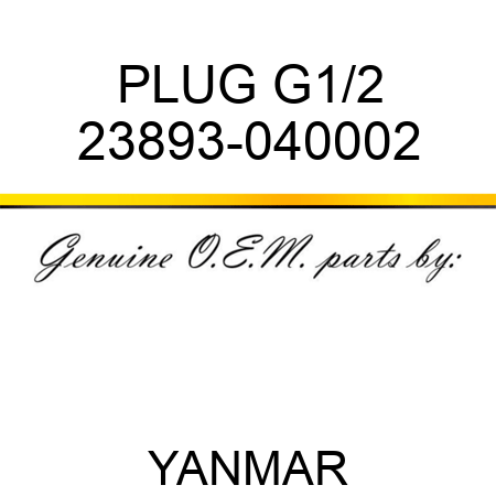 PLUG, G1/2 23893-040002