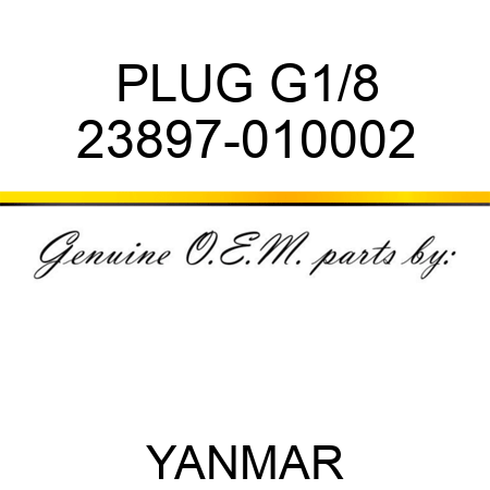 PLUG, G1/8 23897-010002