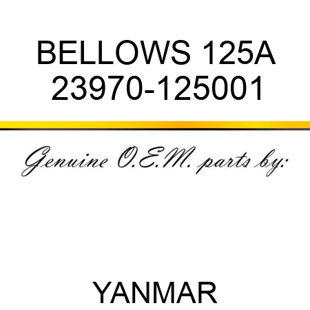 BELLOWS, 125A 23970-125001
