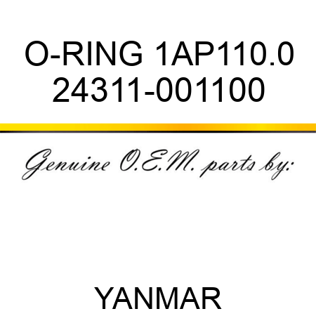 O-RING, 1AP110.0 24311-001100