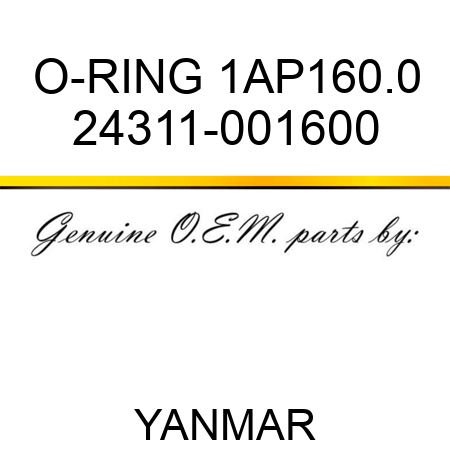 O-RING, 1AP160.0 24311-001600