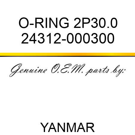 O-RING, 2P30.0 24312-000300