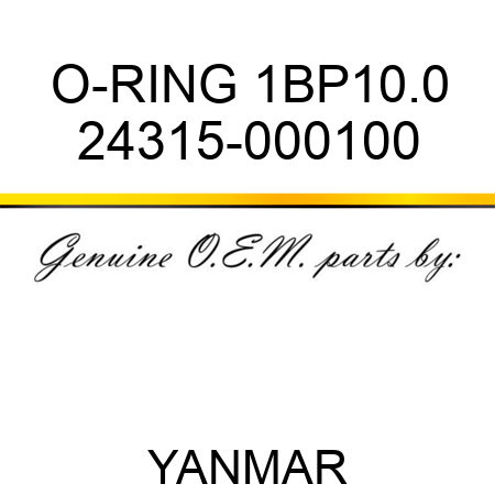 O-RING, 1BP10.0 24315-000100