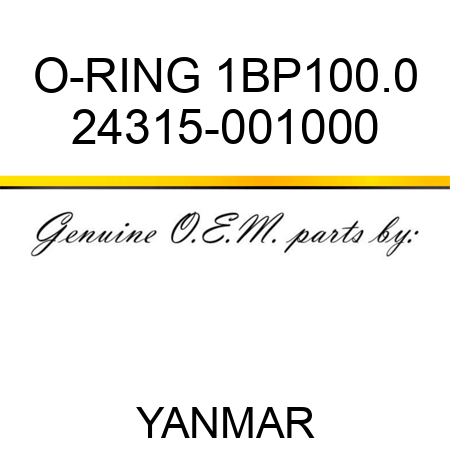 O-RING, 1BP100.0 24315-001000