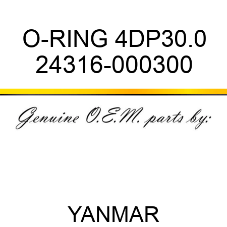 O-RING, 4DP30.0 24316-000300
